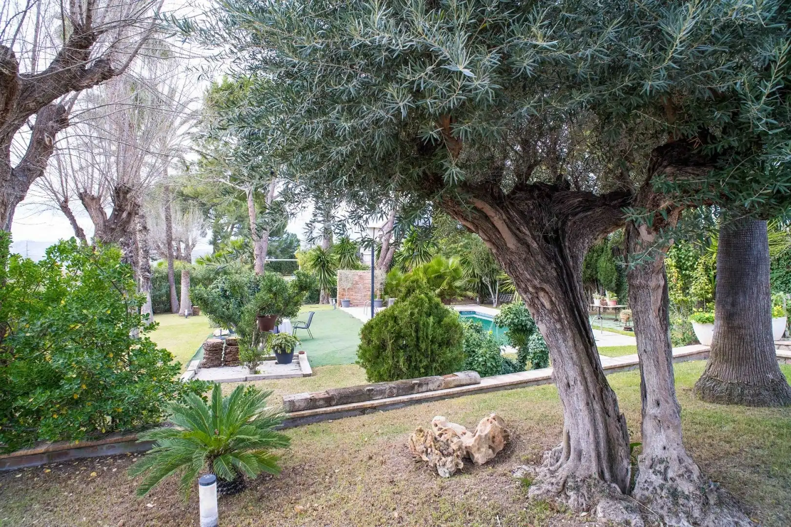 Villa à vendre à Petrer, imagen 6
