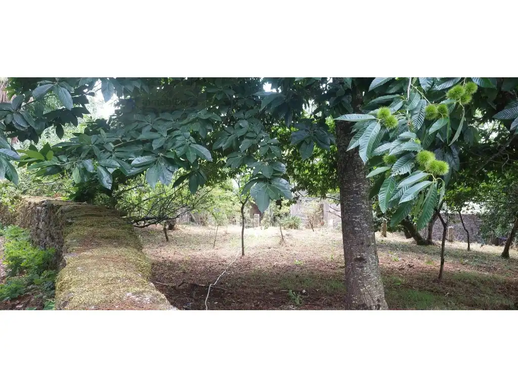 Casa rústica en venda a Lugar Vilar Do Xestal-Noceda, imagen 32