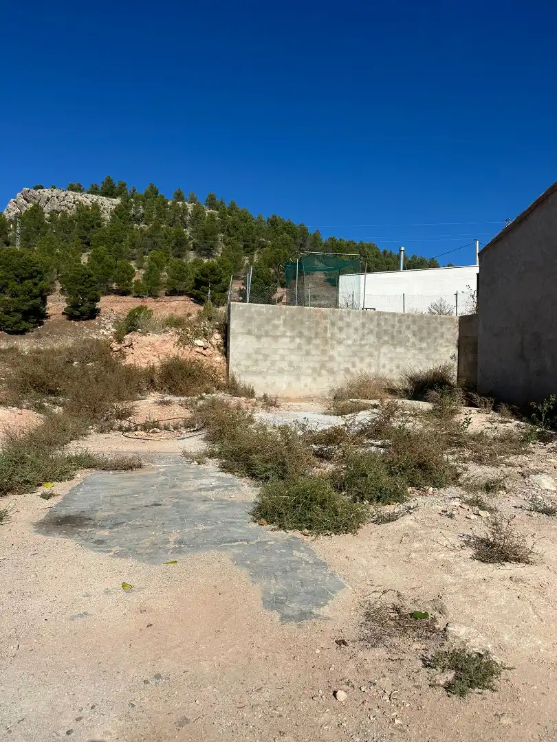 Rustikales Grundstück zum Verkauf in Vélez-Rubio, imagen 10