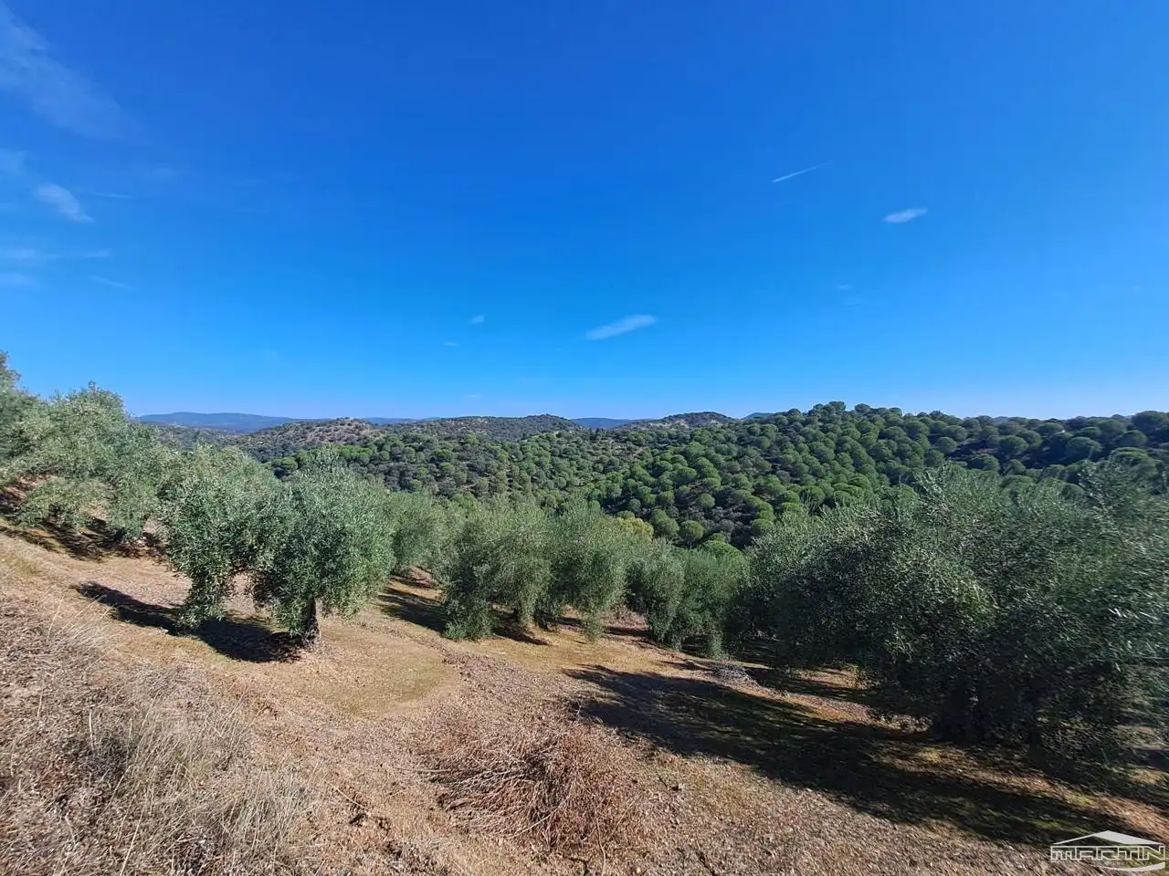 Casa o chalet en venta en Villaviciosa de Córdoba con Piscina
