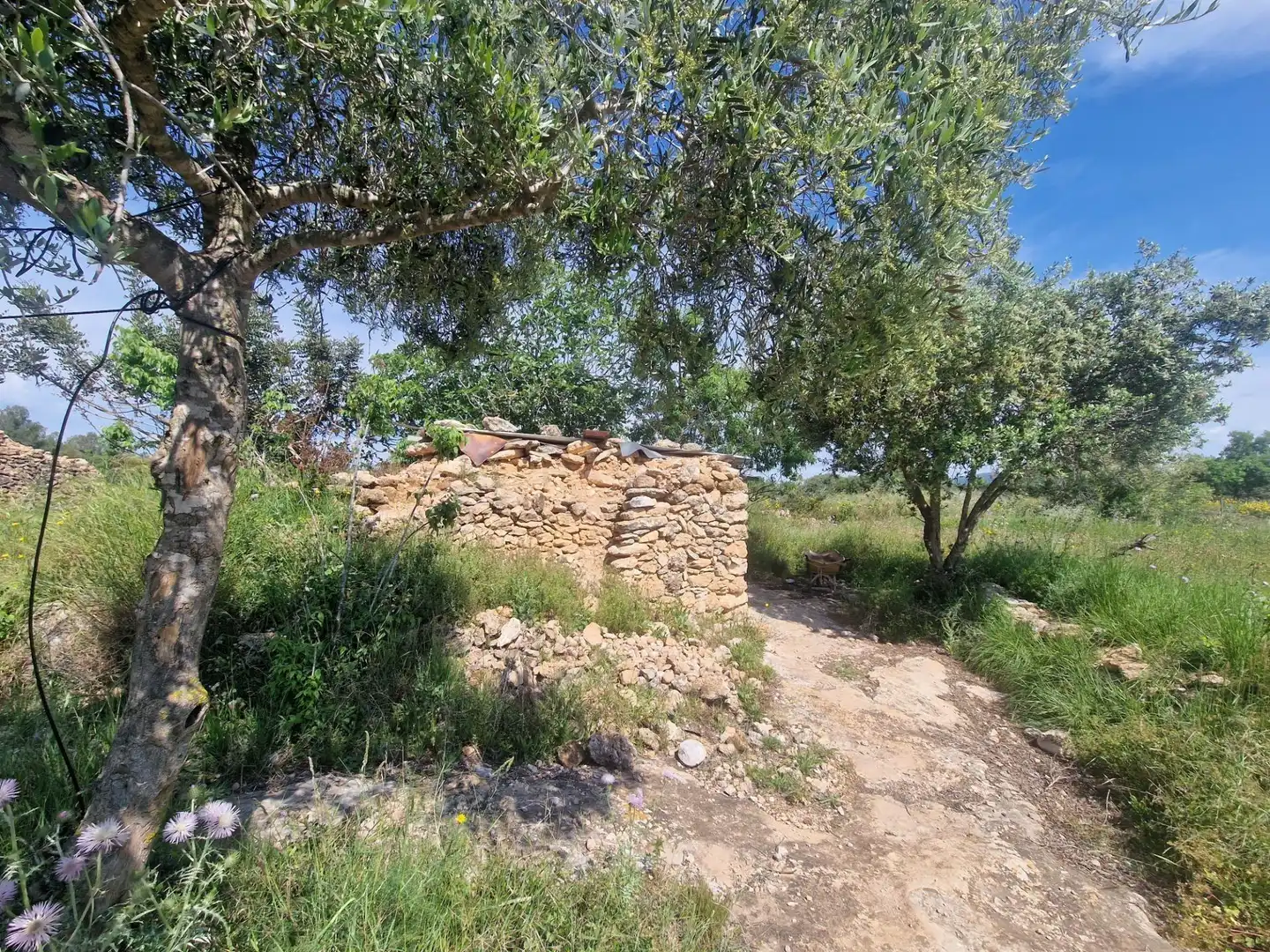 Terreno rustico in vendita a Valls, imagen 5