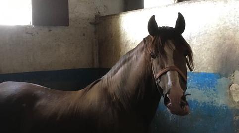 Photo 4 of Country house for sale in Calle Licenciado Carrion, 1, Aracena, Huelva