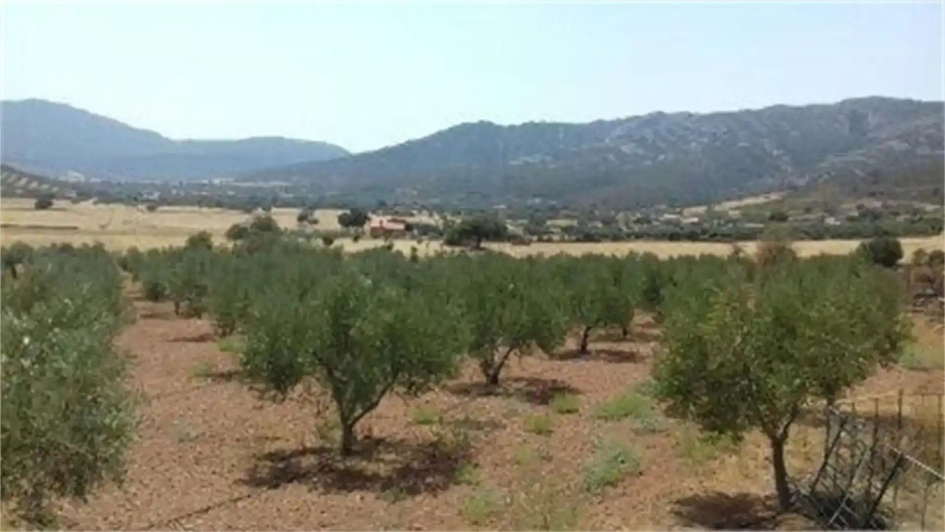 Finca rústica en venda en Peñalsordo amb Aire condicionat, Piscina i Moblat