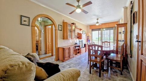 Foto 2 de Planta baixa de lloguer a Las Viñas, Guardamar del Segura