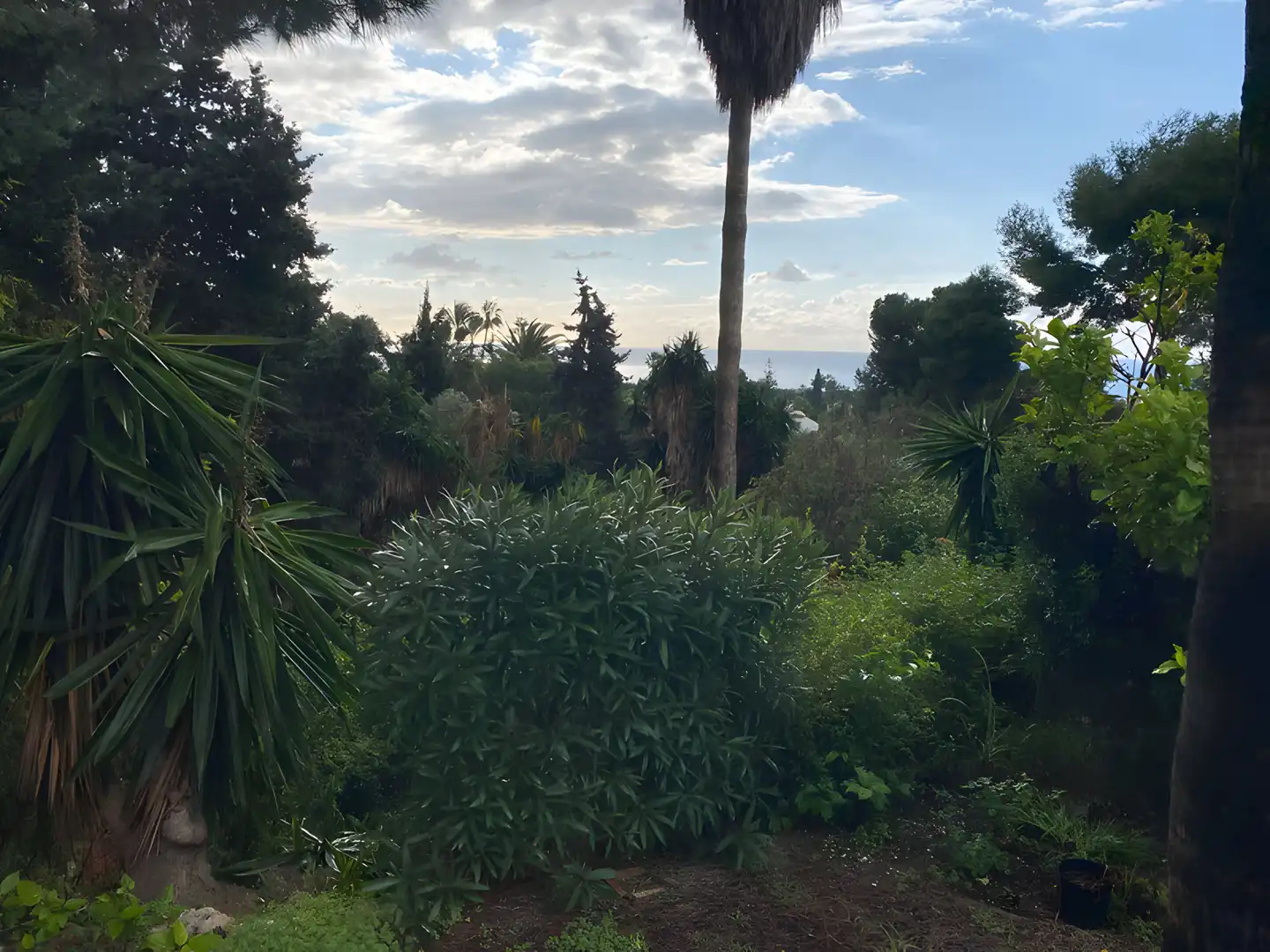 Casa amb piscina en venda a Calahonda, imagen 33