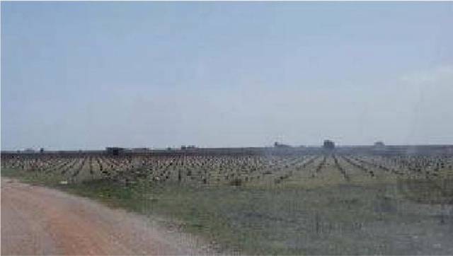 Terreno en Venta en Mota del Cuervo