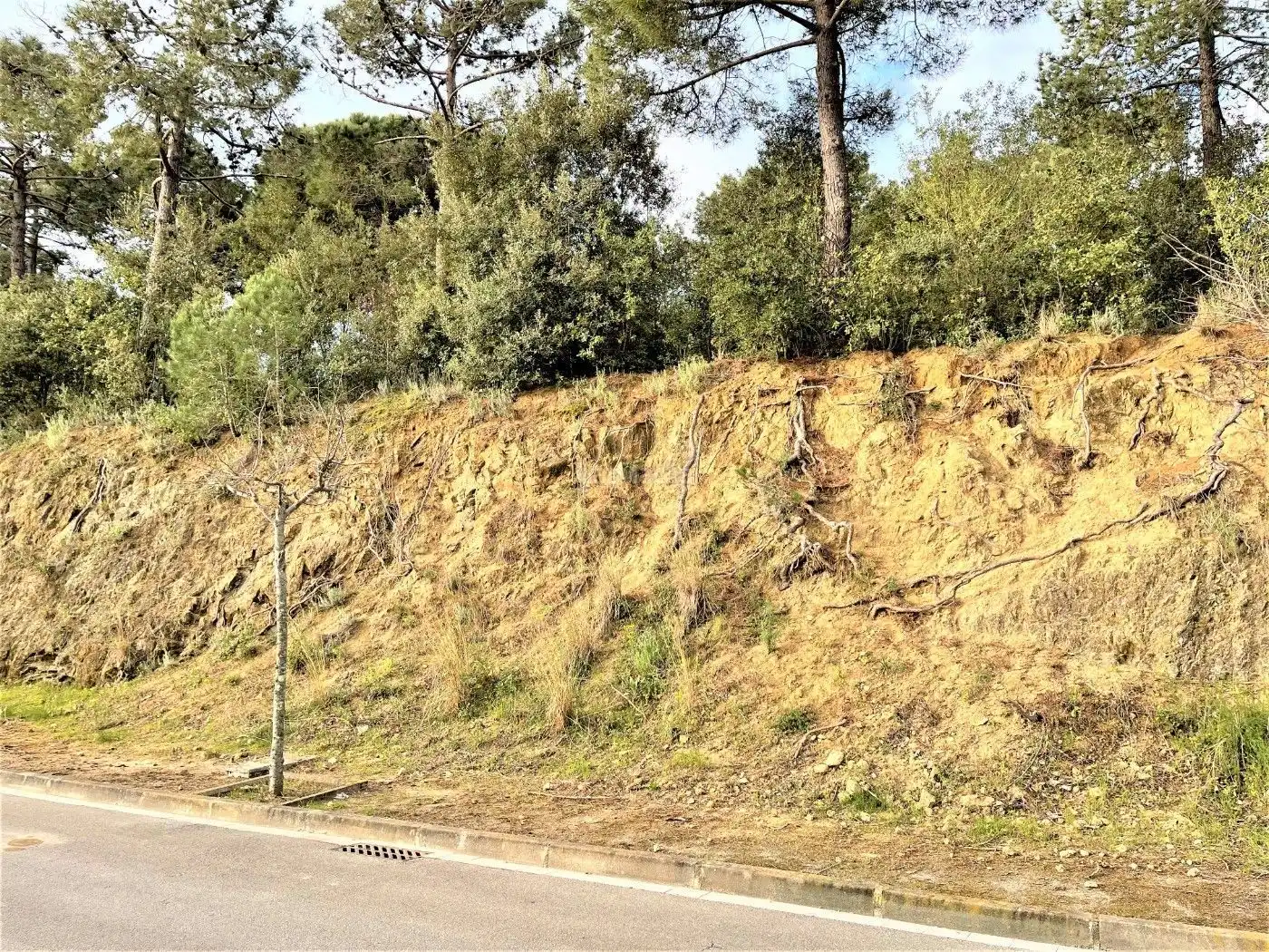 Imatge 2 de l'anunci