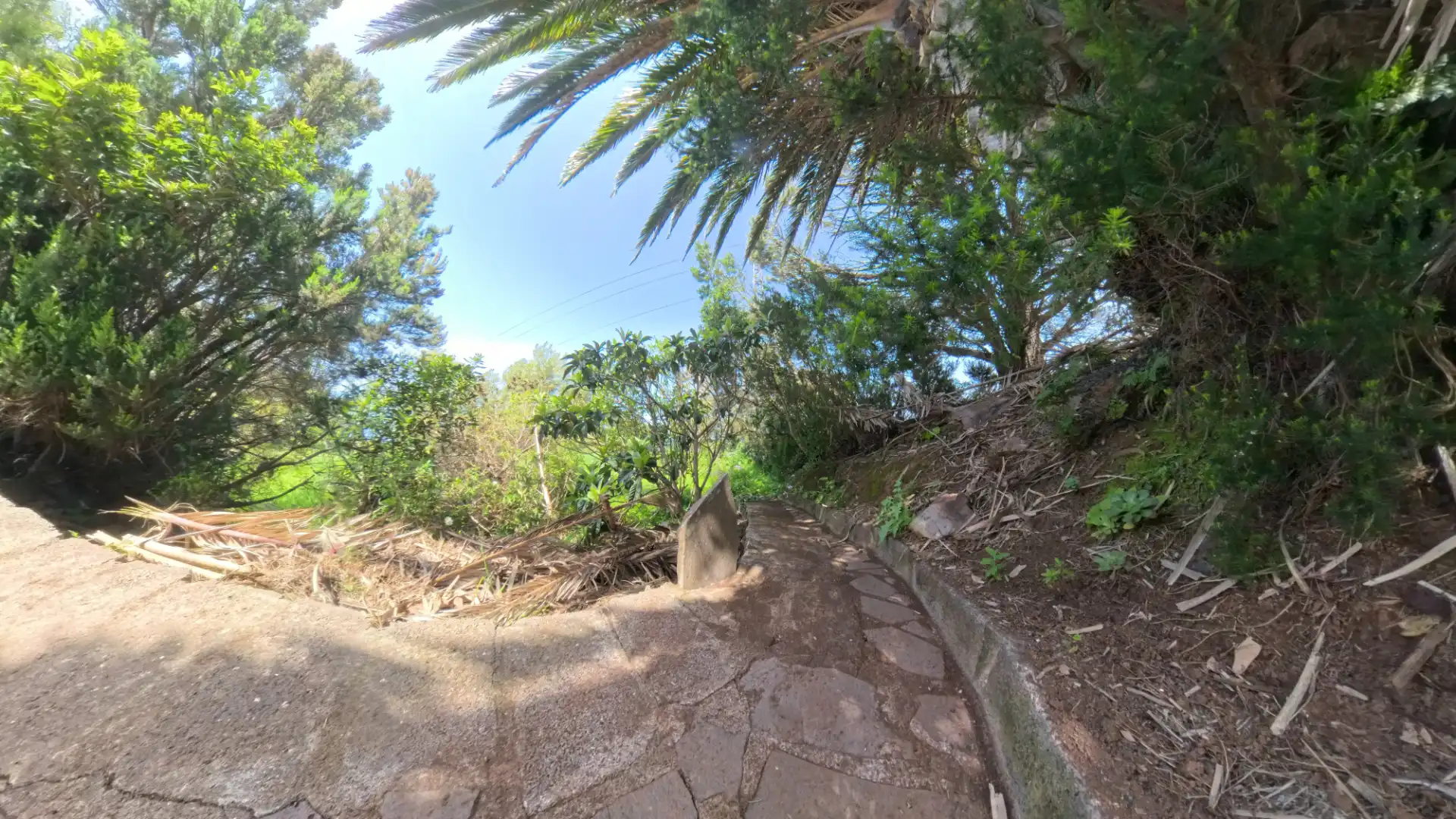 Vista exterior de Casa o chalet en venta en Buenavista del Norte con Amueblado