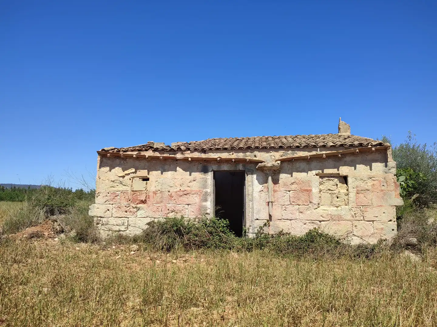 Rural land for sale in Vilafranca de Bonany, imagen 2