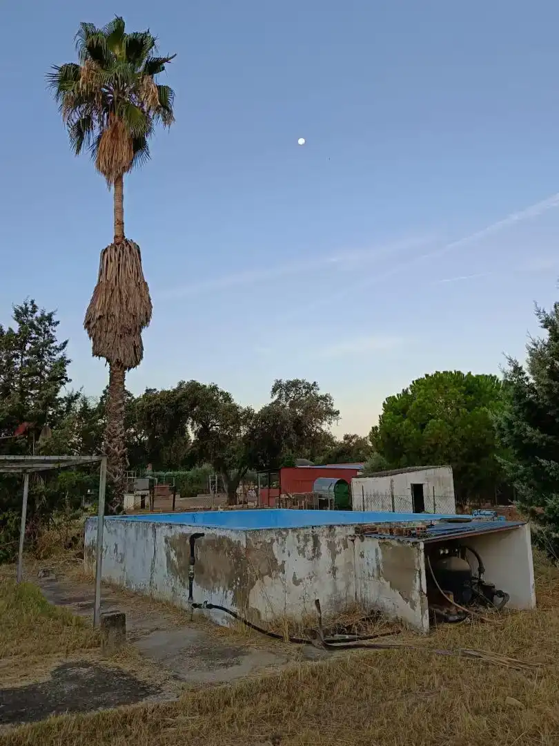 Piscina de Finca rústica en venda en Solana de los Barros amb Jardí privat, Piscina i Moblat