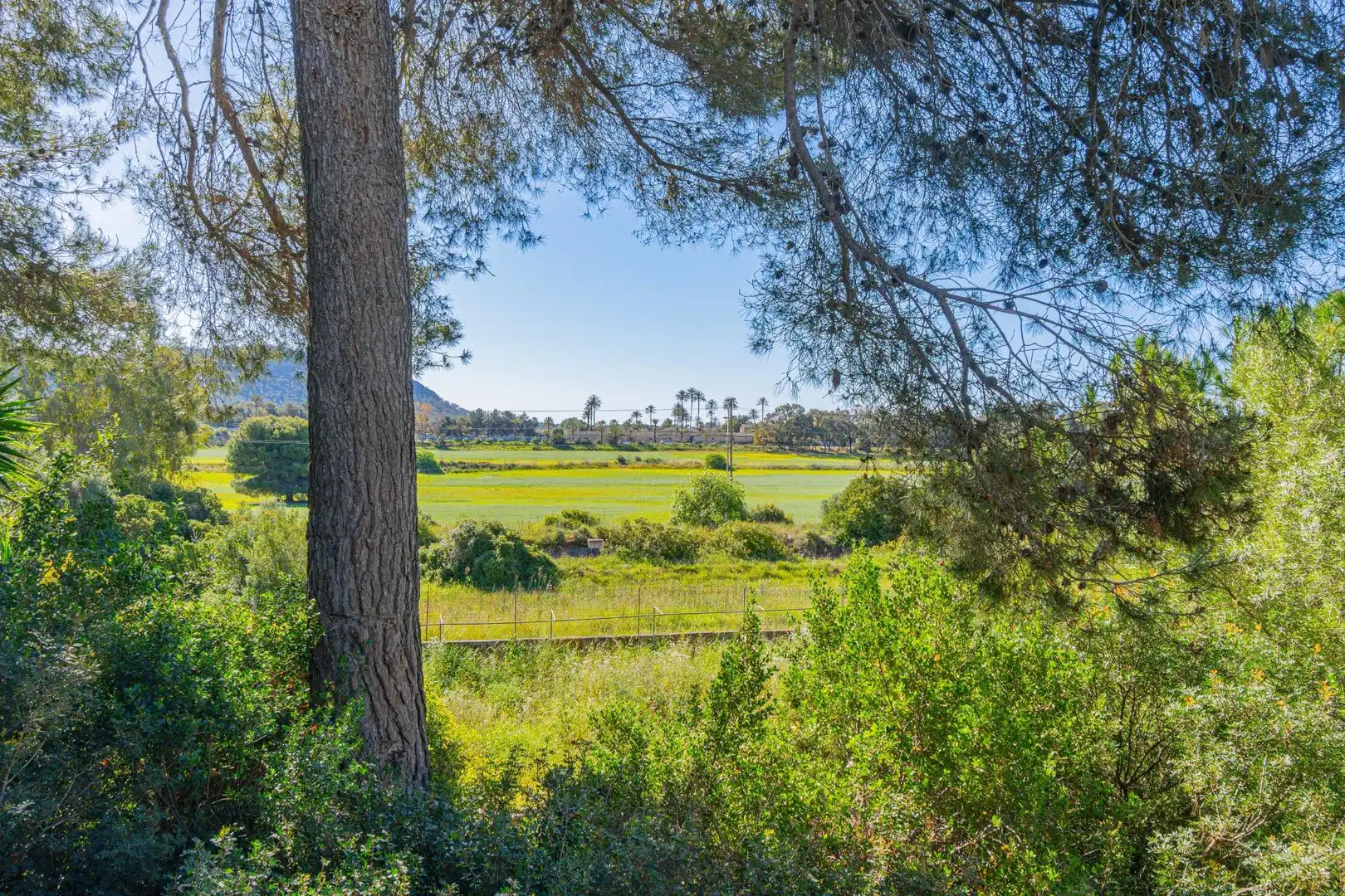 Residencial en venda en Calvià