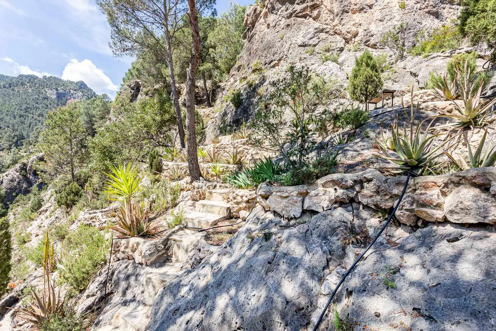 Finca rústica en venta en Fuente de los Baños , Montanejos