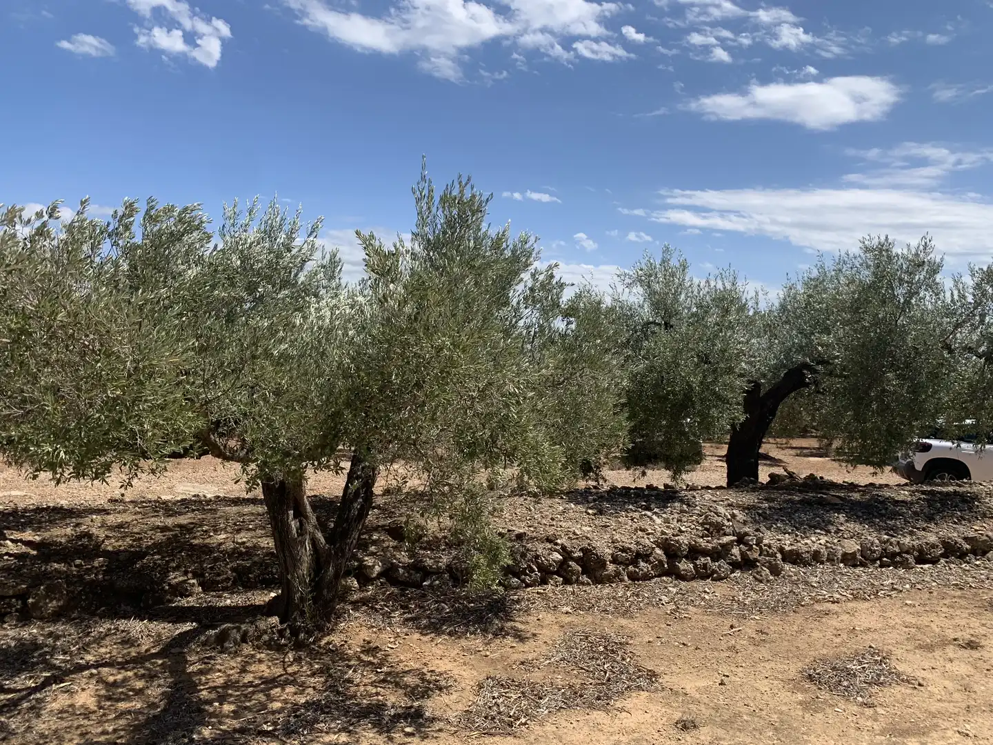 Maison rustique à vendre à L'Ampolla, imagen 37