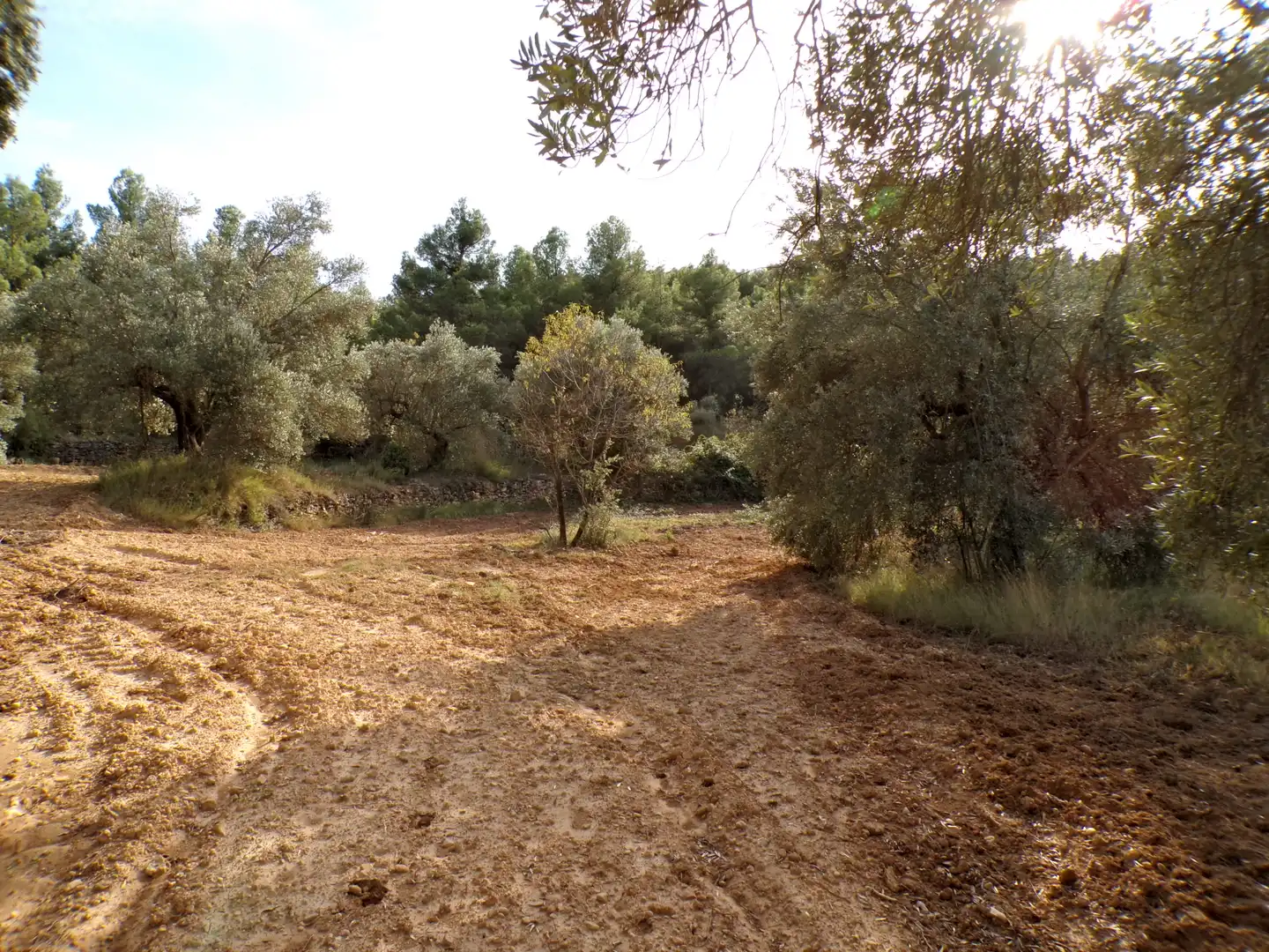 Terreni e lotti in vendita a La Fresneda