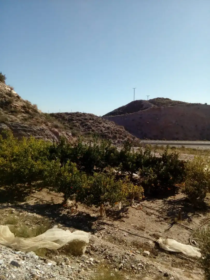 Casa rústica amb jardí en venda a Tébar - Los Arejos, imagen 9