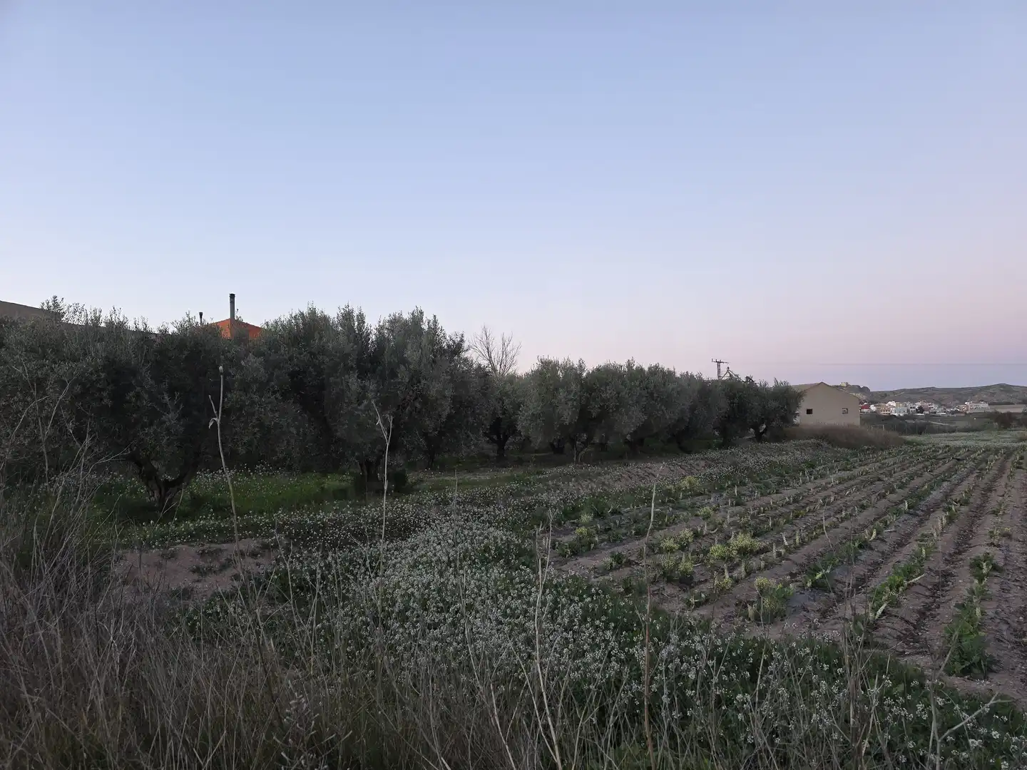 Terreny rústic en venda a Calasparra, imagen 4