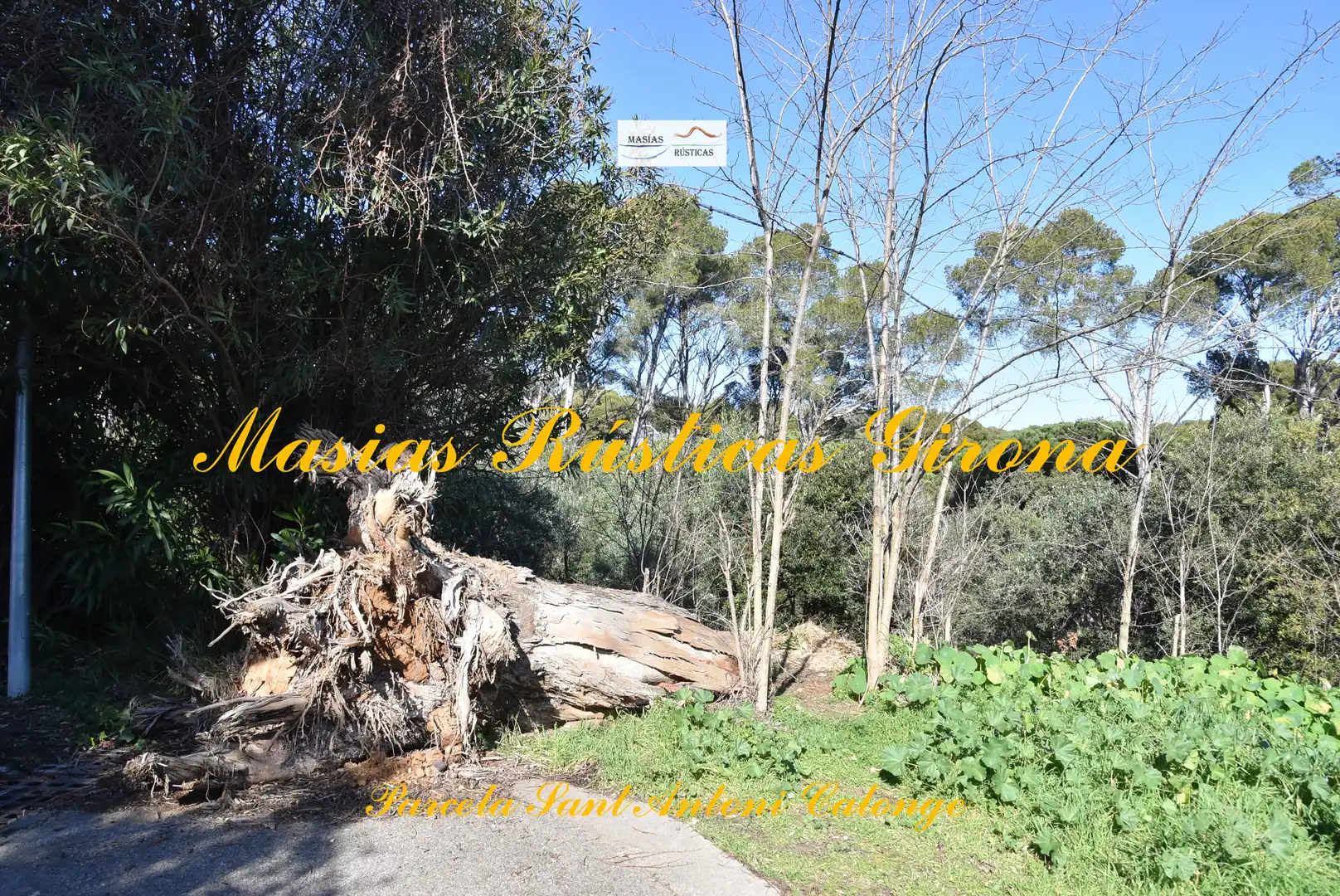 Residential land for sale in Carrer Cadí 6, imagen 19
