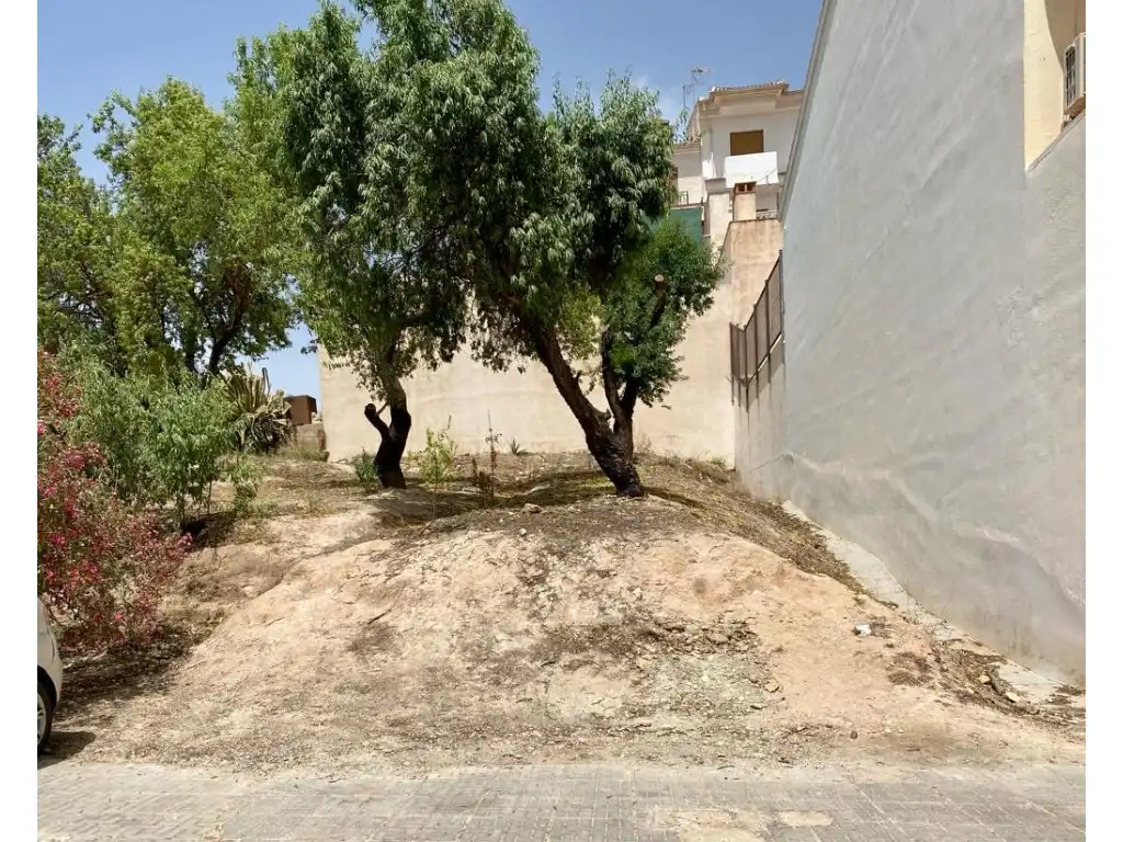 Terreni e lotti in vendita a Alhama de Granada, imagen 3