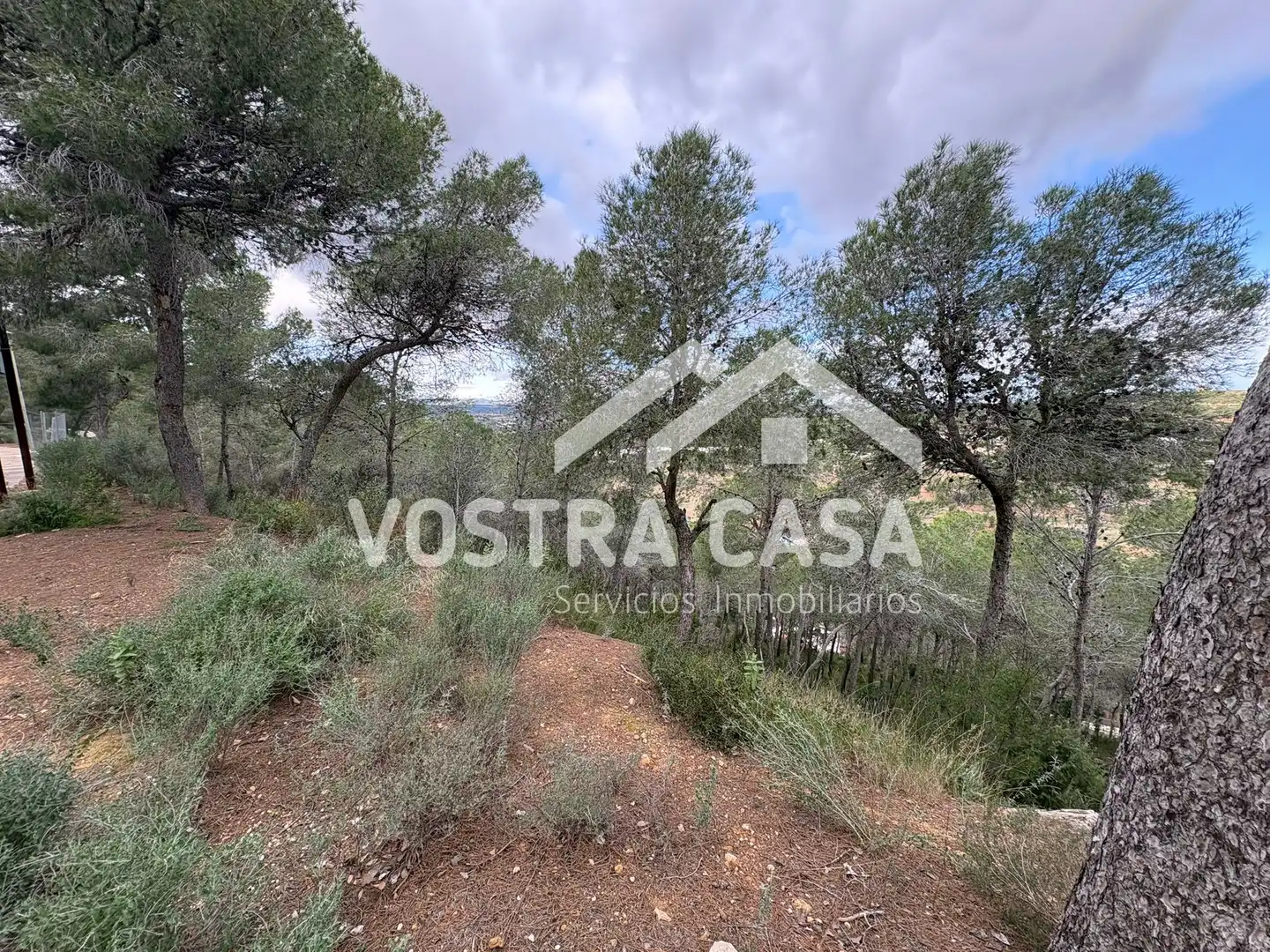 Terreno en venta en Chiva