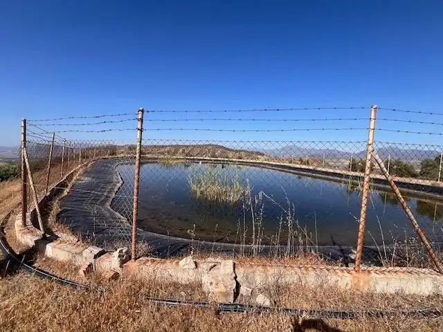 Schwimmbecken von Grundstücke zum Verkauf in Pizarra