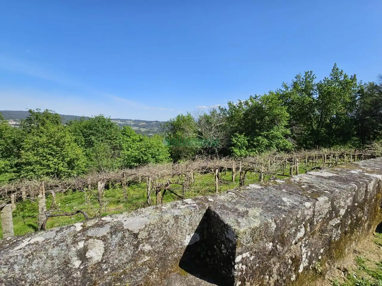 Jardín de Finca rústica en venta en A Cañiza   con Calefacción, Jardín privado y Terraza