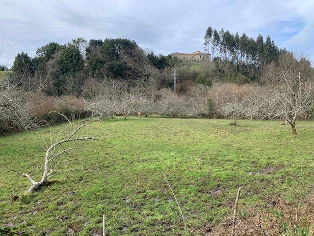 Terreno residencial en Venta en Colunga