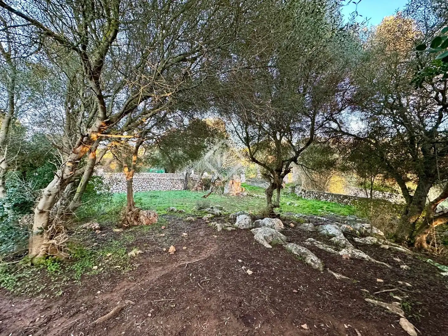 Finca rústica en venda a Ciutadella