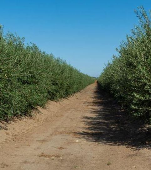 Photo 2 of Country homes for sale in Puente Jontoya - Puente de la Sierra - El Arroyo, Jaén Capital