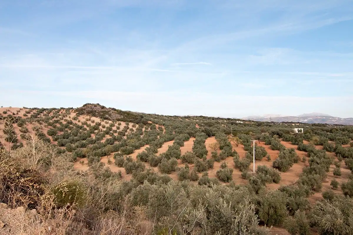 Casa rústica en venda a Loja, imagen 35