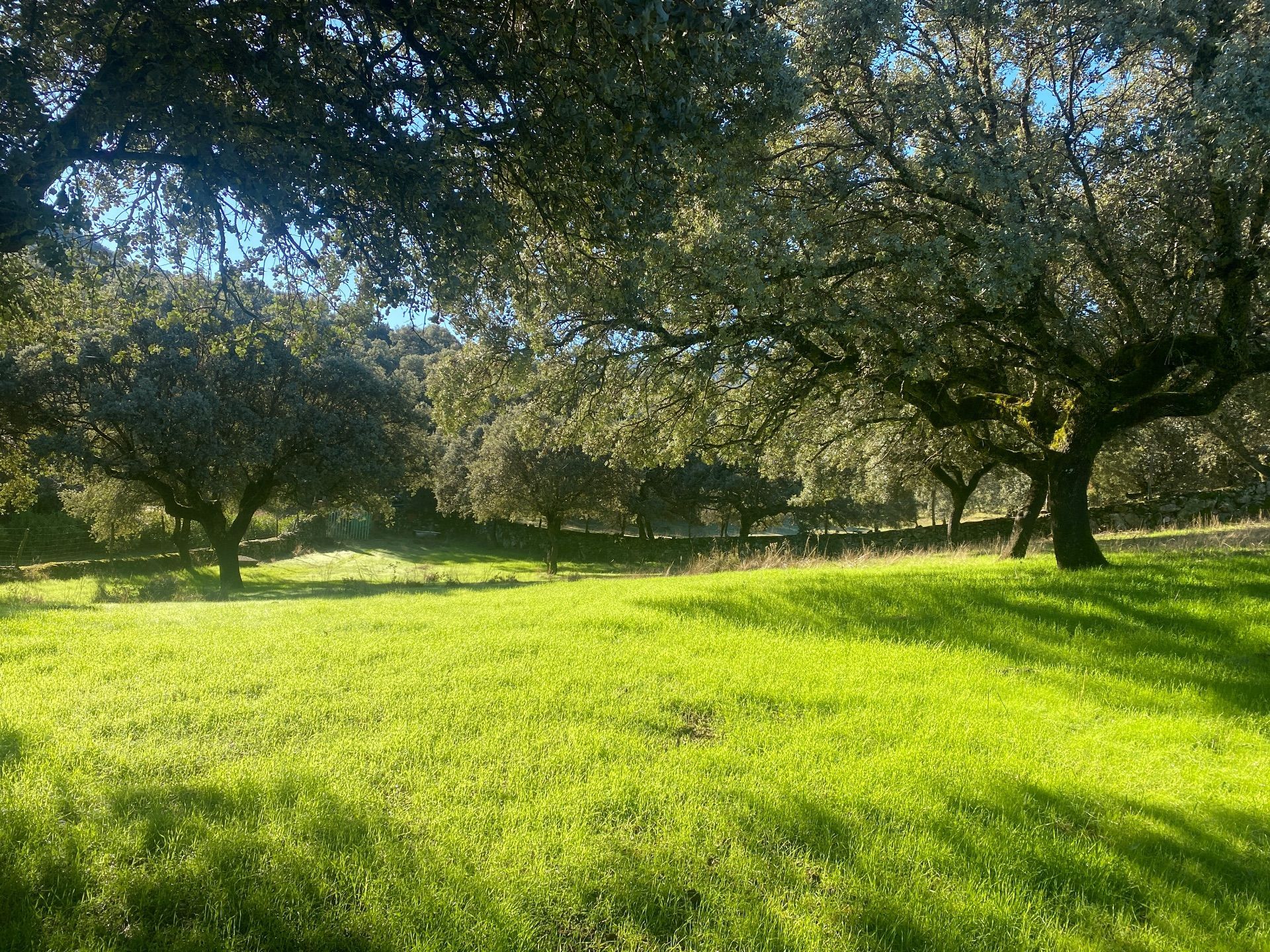 Finca rústica en venda en El Real de San Vicente amb Aire condicionat, Calefacció i Jardí privat