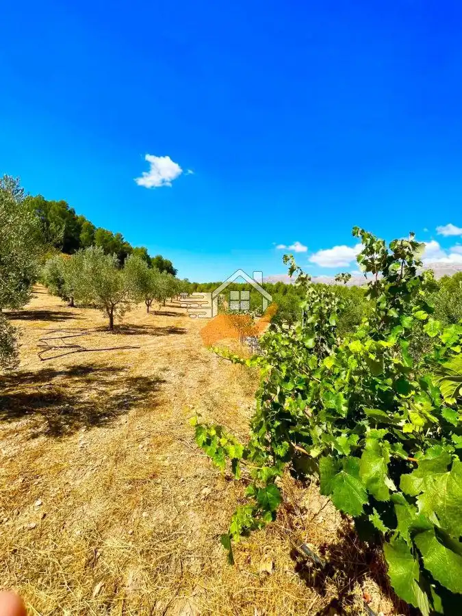 Country house for sale in Vélez-Rubio, imagen 9