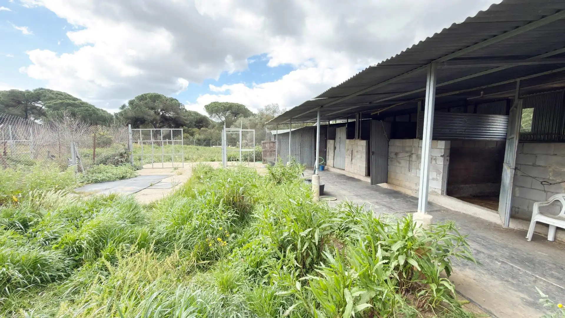 Jardín de Finca rústica en venta en Punta Umbría
