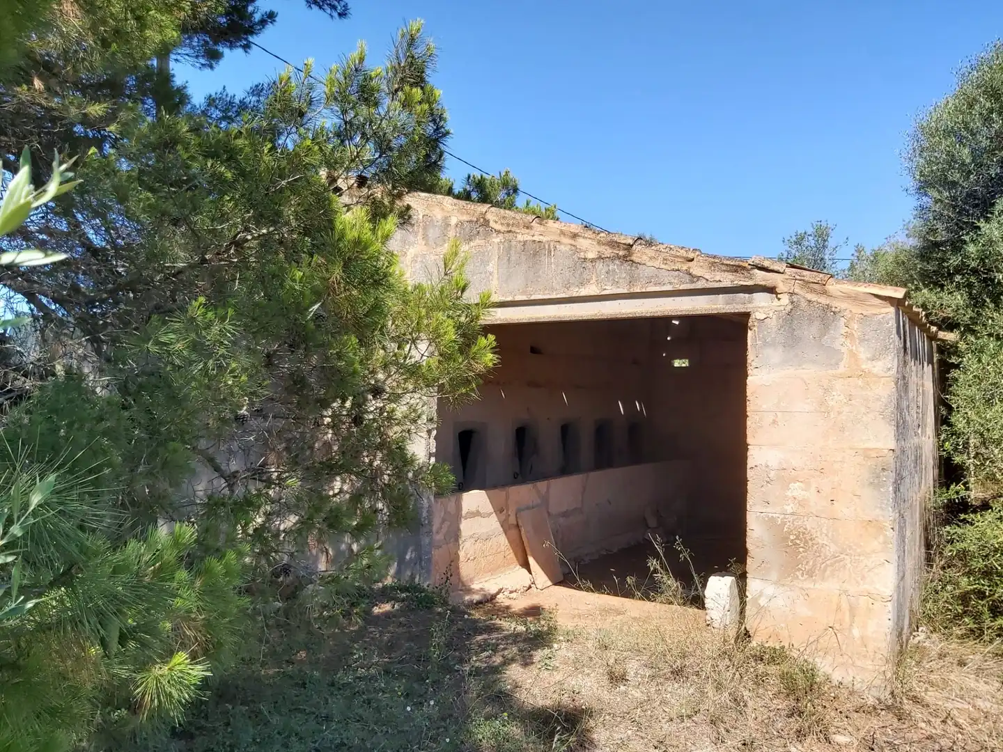 Vista exterior de Finca rústica en venta en Campos