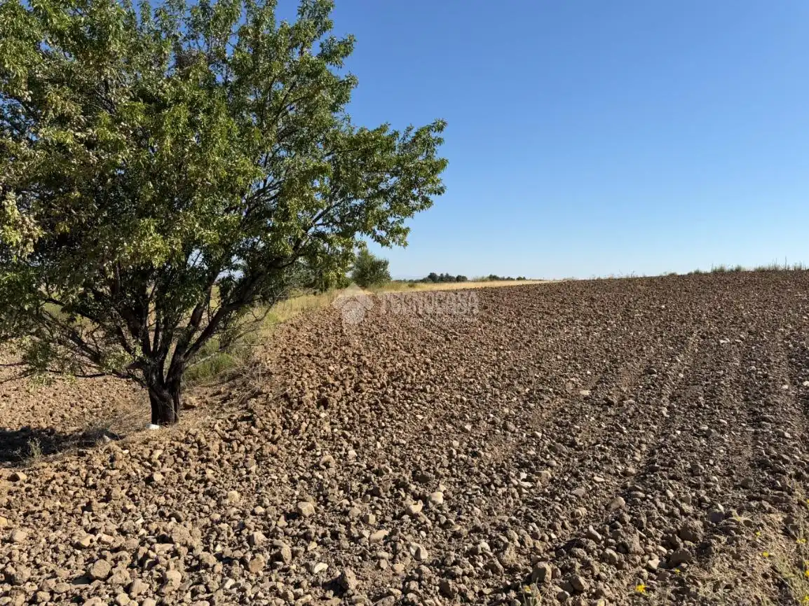 Terreny rústic en venda a Fuente El Saz de Jarama, imagen 21