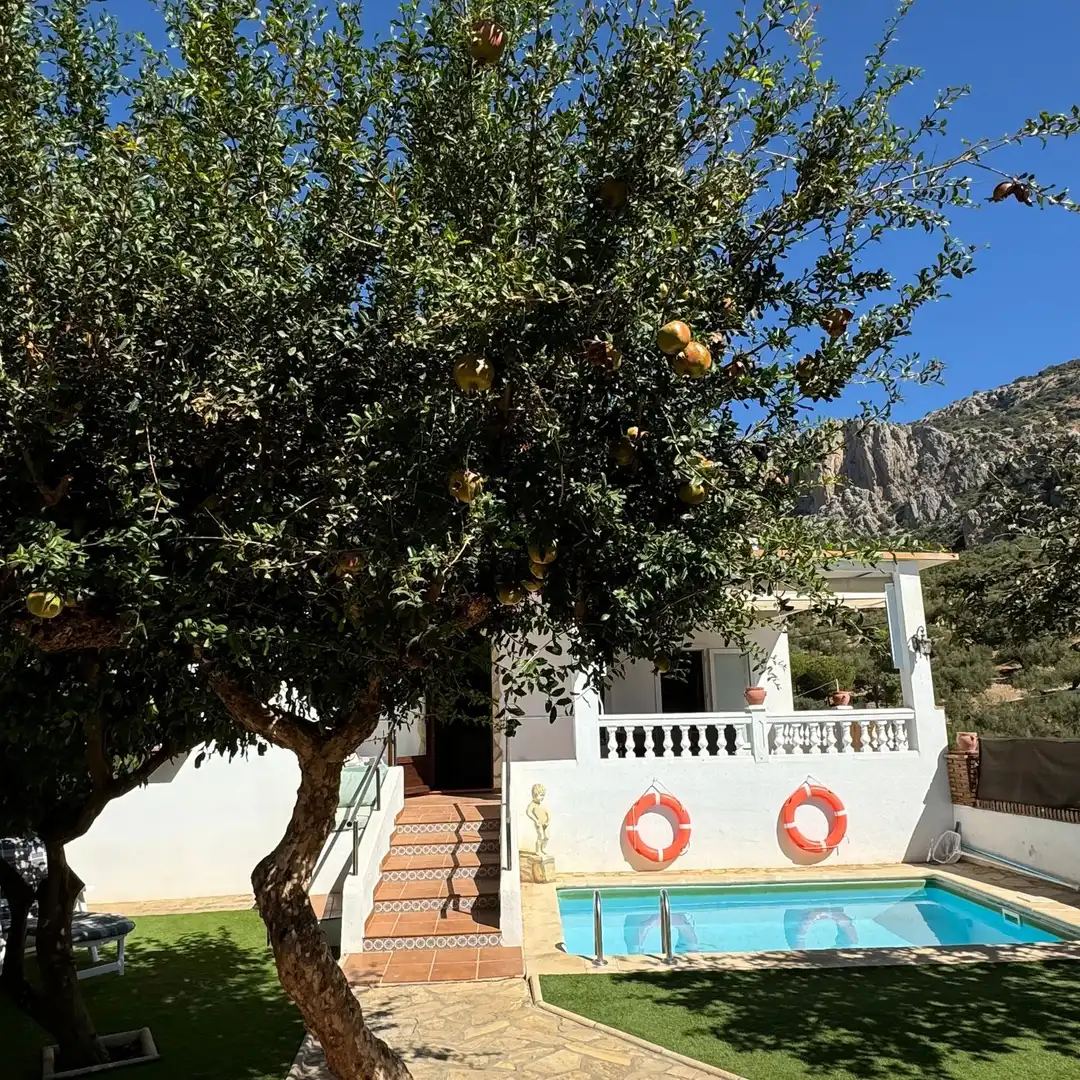 Finca rústica en venda a PULGARIN, 1, Alfarnatejo