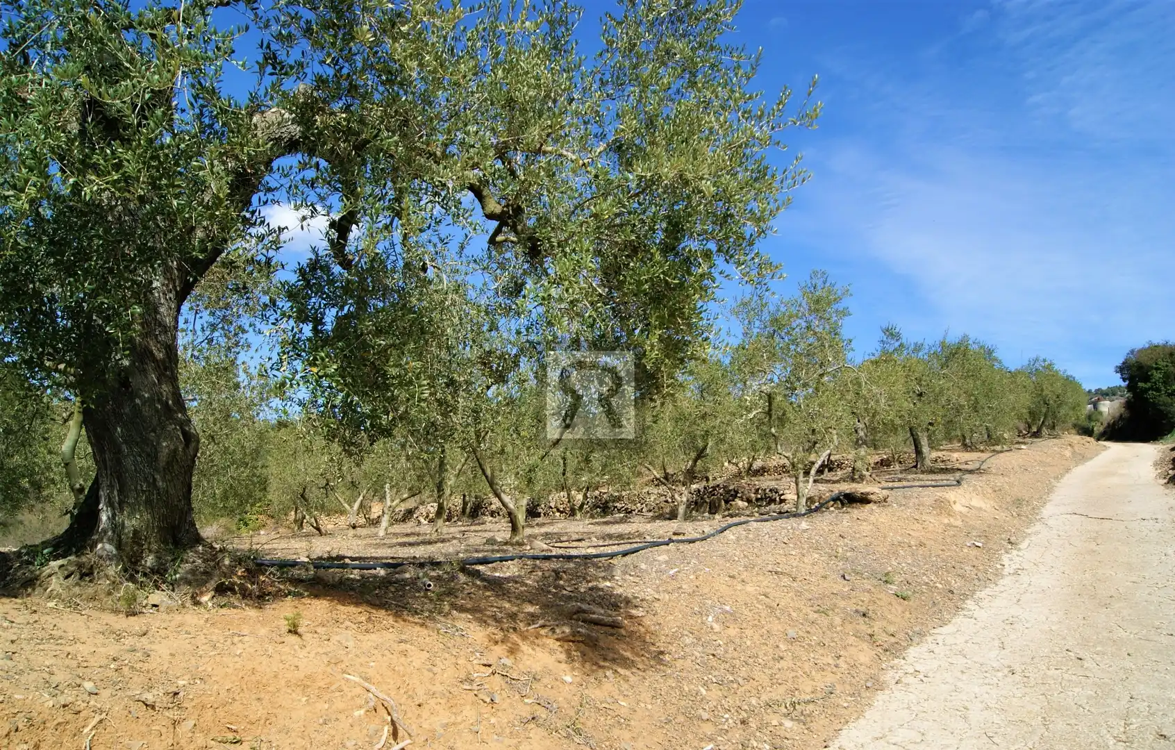 Terreno en venta en T-313, 5, Duesaigües