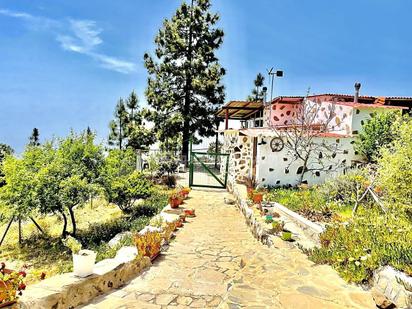 Jardí de Finca rústica en venda en Granadilla de Abona amb Terrassa