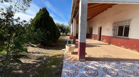 Photo 2 of House or chalet for sale in Camino Camí Mina, Las Bayas, Elche / Elx