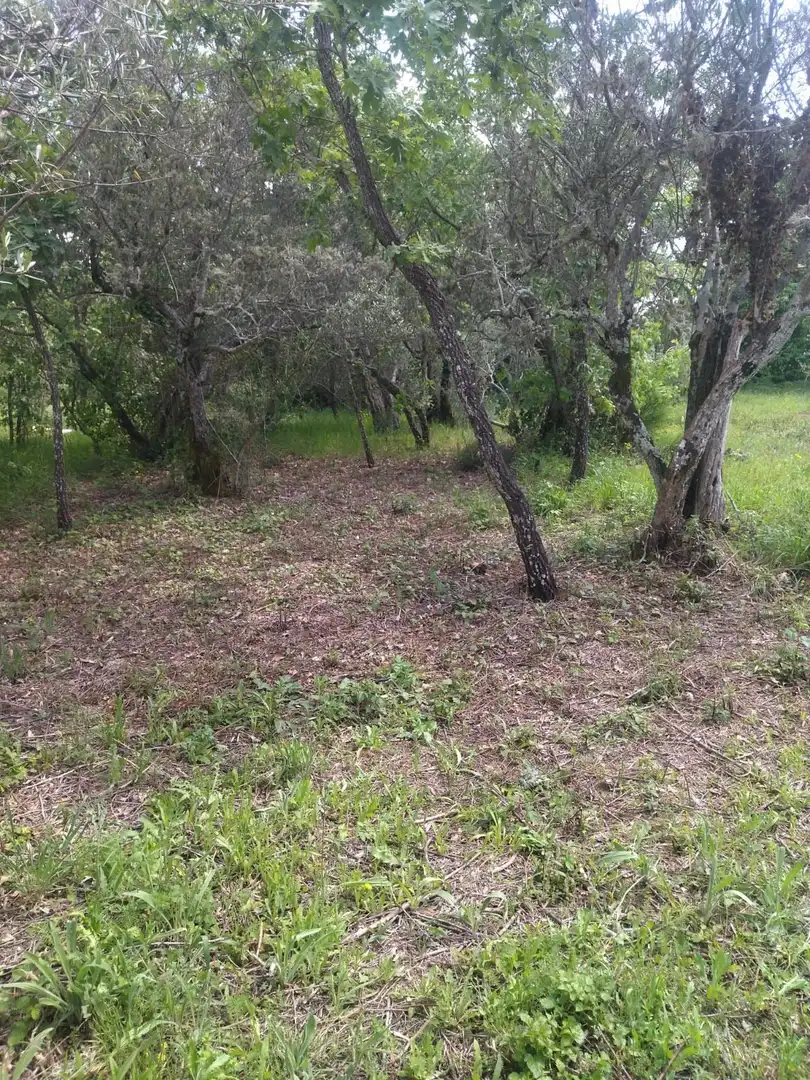 Terreni e lotti in vendita a Villanueva de la Vera, imagen 18