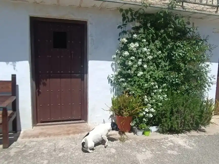 Jardí de Casa adosada en venda en La Taha amb Aire condicionat, Traster i Balcó