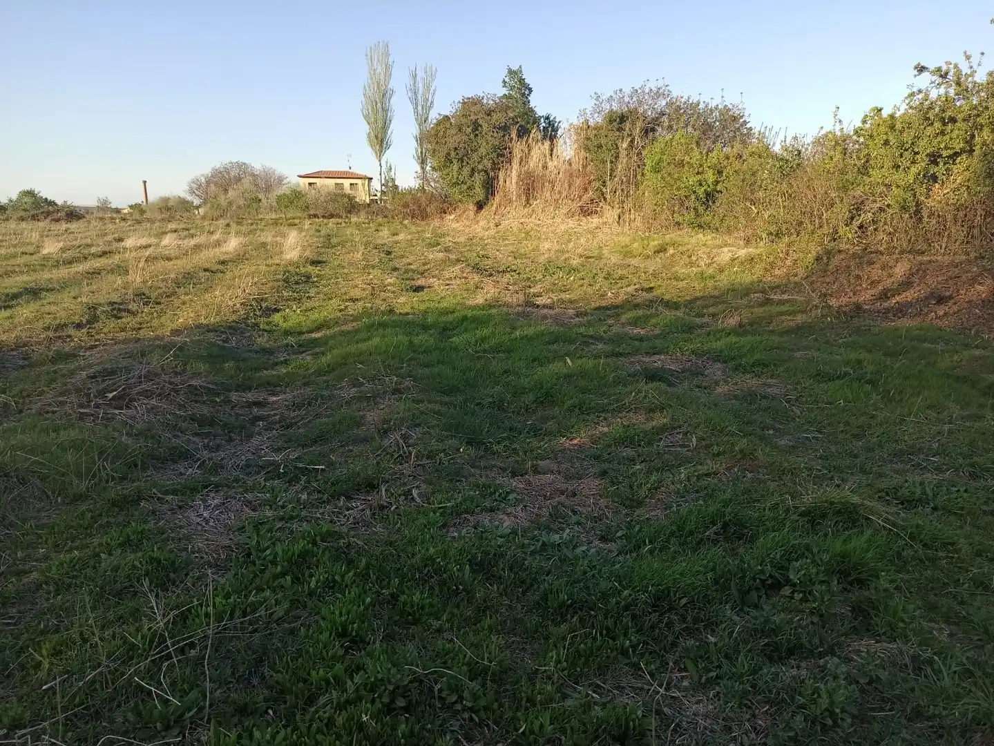 Houses for sale in Tarazona  with Heating, Private garden and Swimming Pool