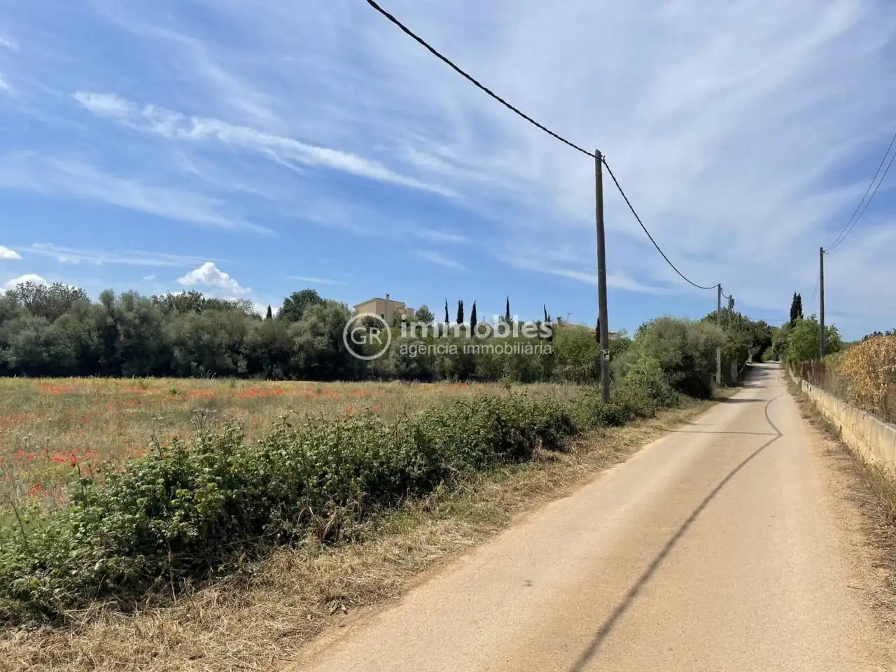 Rustikales Grundstück zum Verkauf in Sencelles, imagen 3