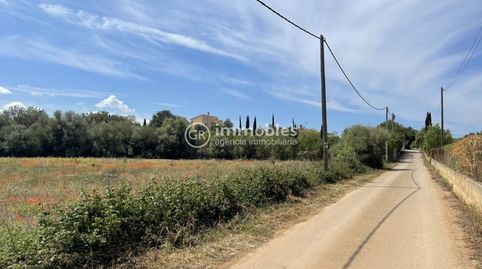 Foto 3 de Terreny en venda a Sencelles, Illes Balears