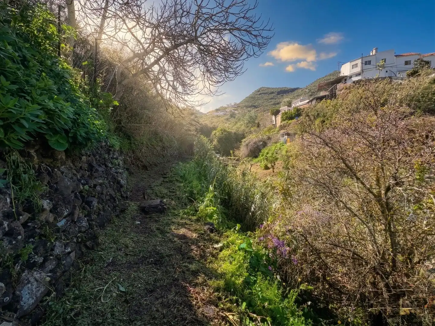 Vista exterior de Finca rústica en venta en Teror con Terraza