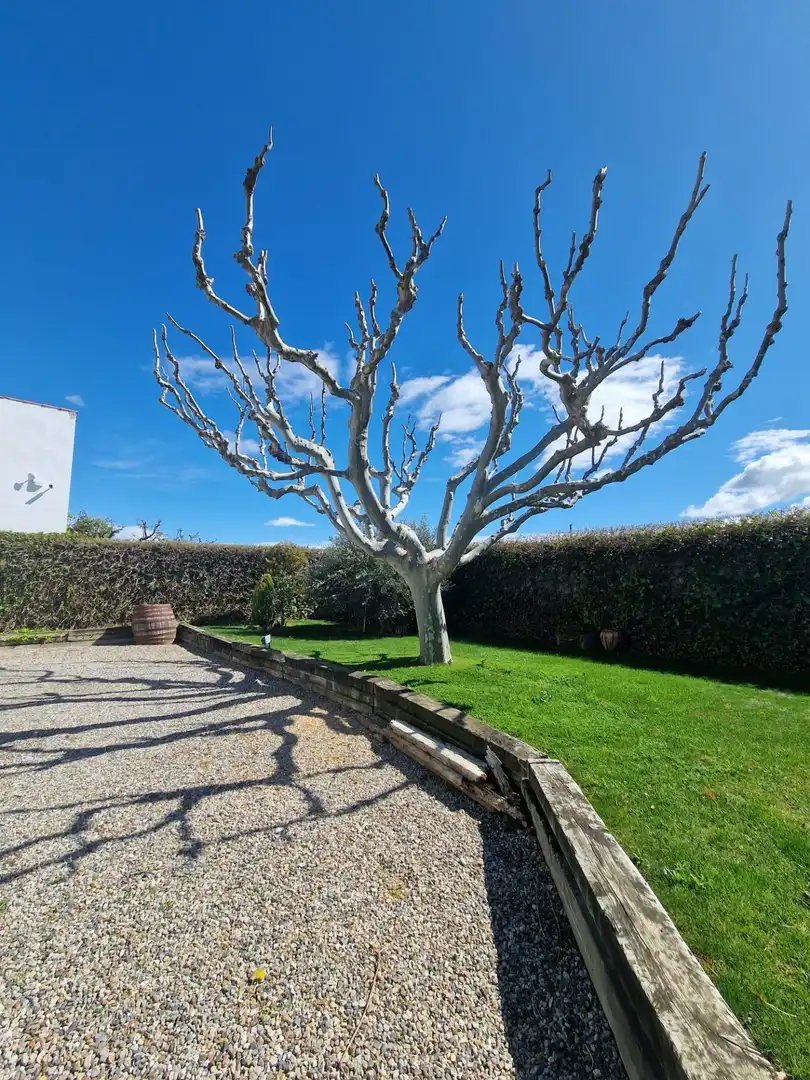 Garten von Country house zum Verkauf in Mollerussa mit Klimaanlage, Heizung und Privatgarten