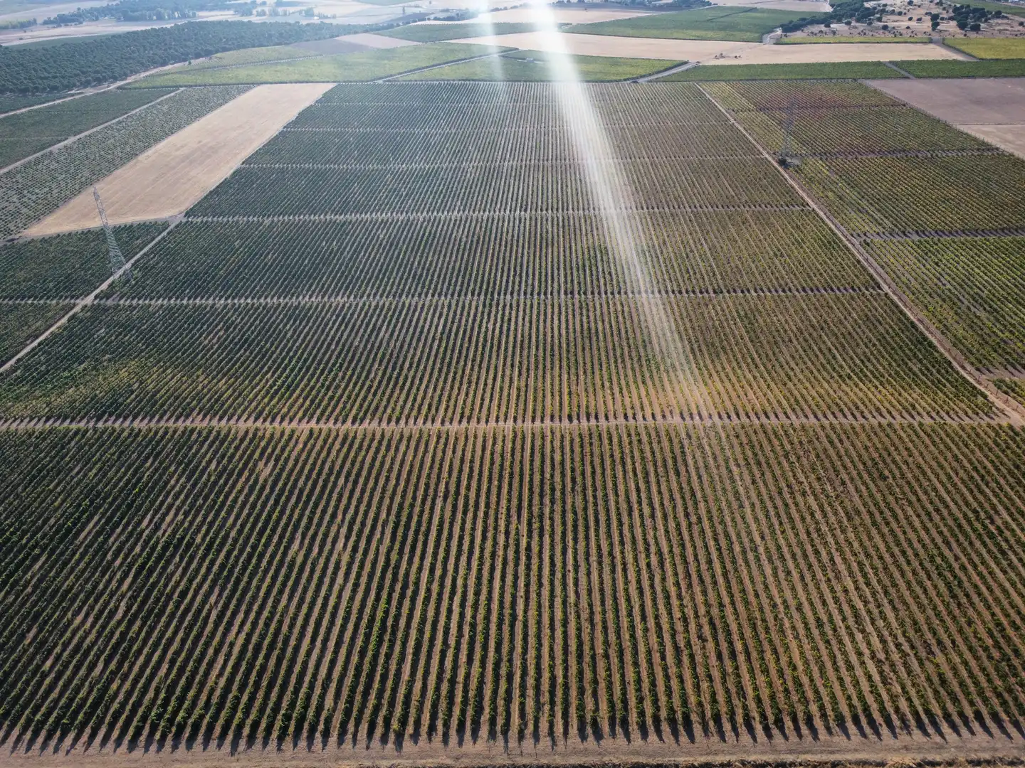 Terreno rustico in vendita a Rueda, imagen 15