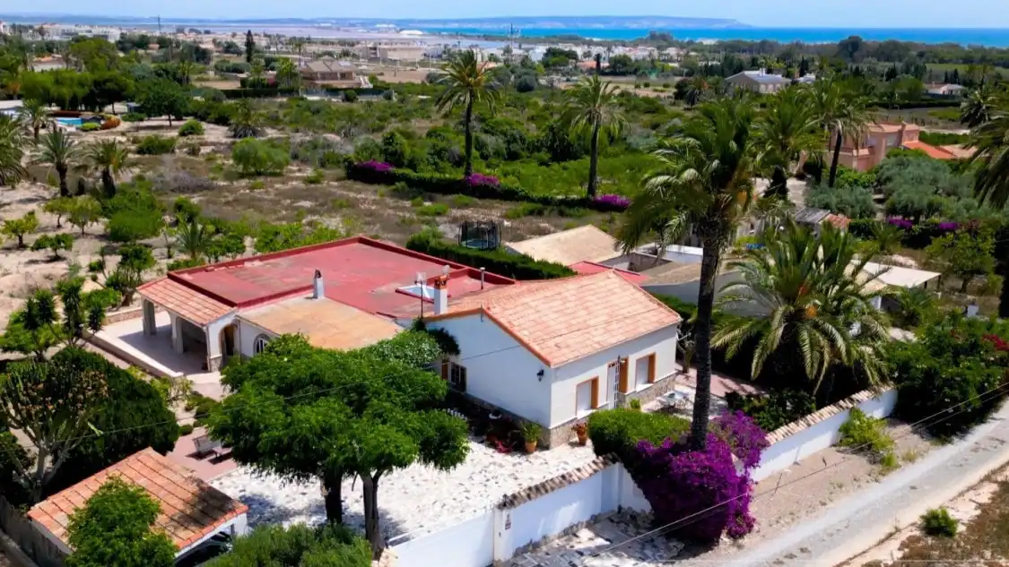 Vista exterior de Finca rústica en venda en Elche / Elx amb Calefacció, Terrassa i Alarma