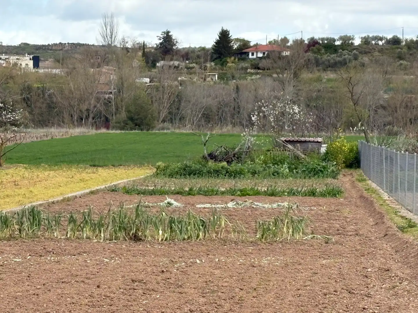 Terreni e lotti in vendita a Murillo de Río Leza, imagen 2