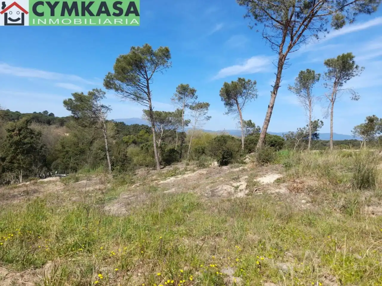 Residential land for sale in Montbarbat, imagen 14