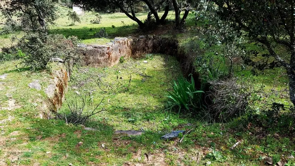 Terrenos y solares en venta en Extramuros Diseminados 5, imagen 44